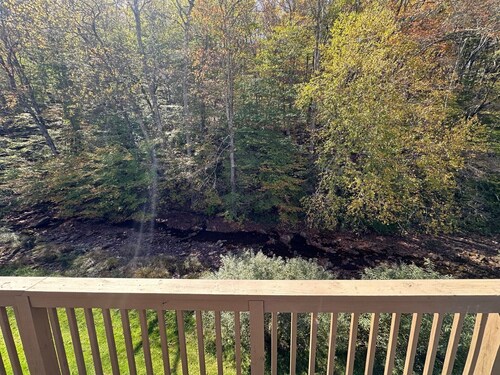 Base Mountain Studio with Winter Shuttle to/from Snowshoe Village