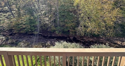 Base Mountain Studio with Winter Shuttle to/from Snowshoe Village