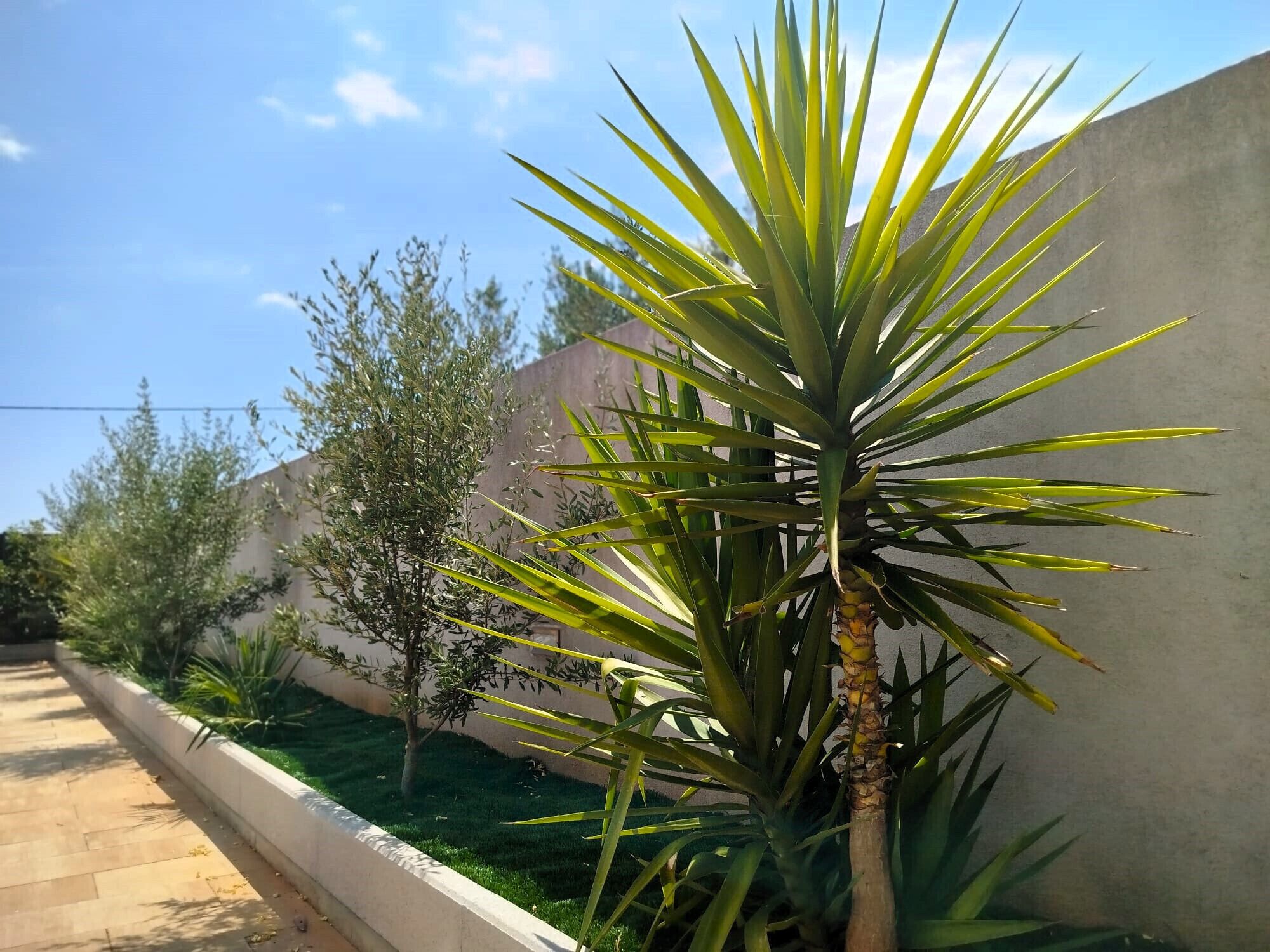 Enceinte de l’hébergement