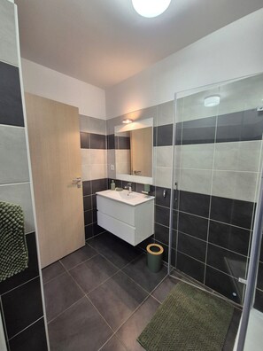 Shower, hair dryer, toilet paper