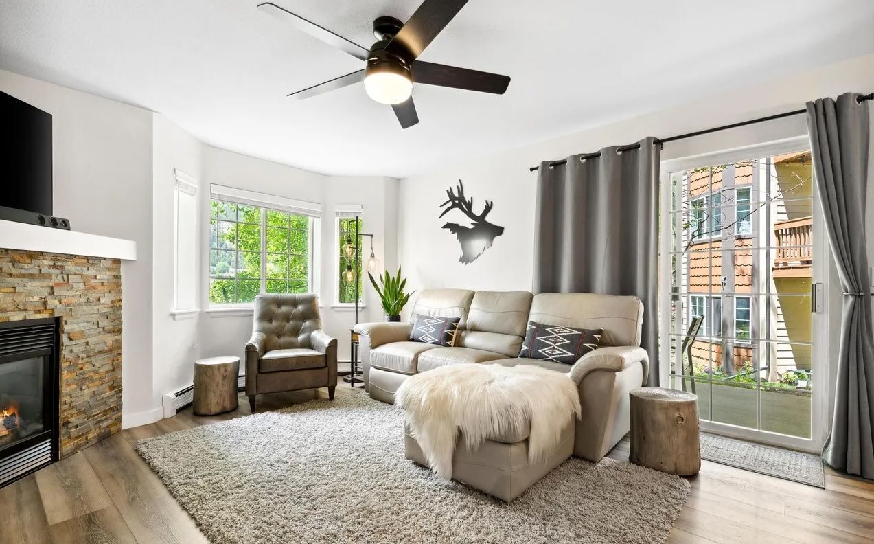 Fernseher, Kamin, Bücher