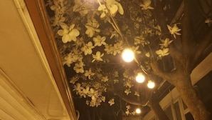 A tree with artificial flowers and hanging lights. - Hideout Guesthouse (Seoul)