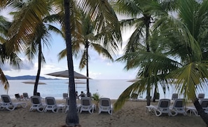 Une plage avec des chaises longues blanches et des parasols.