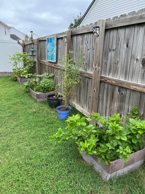 المنطقة المحيطة بالمنشأة