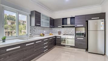 Apartment, 3 Bedrooms, Kitchen, City View | Private kitchen | Full-size fridge, microwave, oven, stovetop