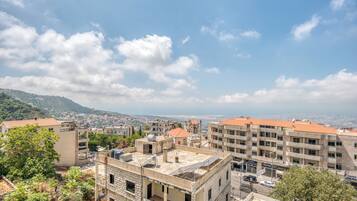 Apartment, 3 Bedrooms, Kitchen, City View | Mountain view