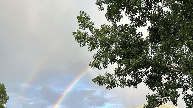 Blick auf einen See, im Vordergrund ein Holzzaun und im Hintergrund ein Regenbogen.