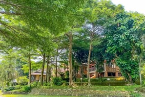 A tree-lined pathway leading to a building with a staircase and a small pond. - New Panjang Jiwo Resort Syariah (Sukaraja)