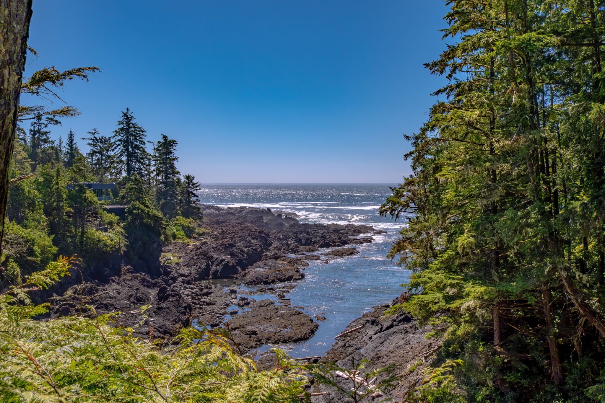 A coastal landscape with dense forest, rocky terrain, and a view of the ocean.