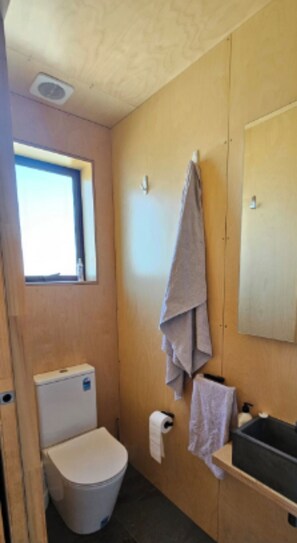 Dusche, Handtücher, Seife, Toilettenpapier