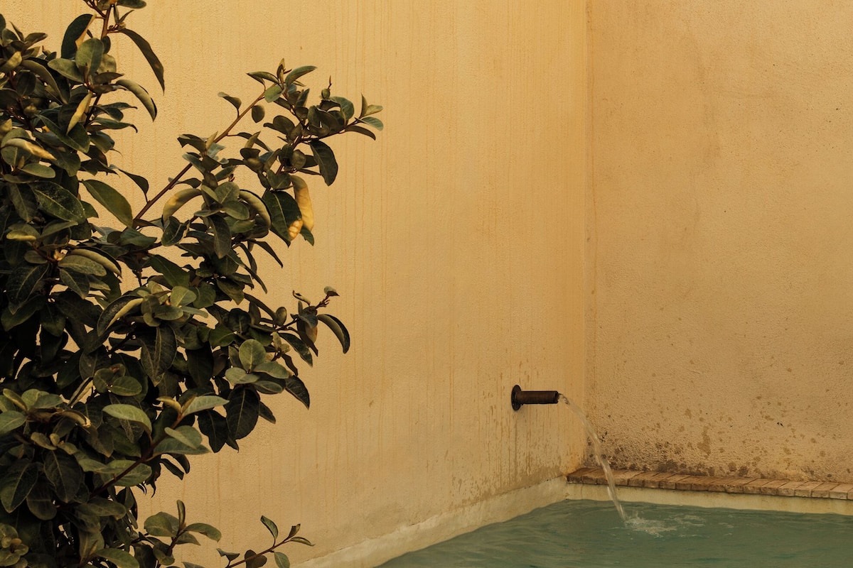 A small indoor pool with a potted plant in the foreground.