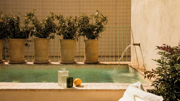 A pool with potted plants, a glass of water, and a lemon on the edge. - CSE BOSCOS Apartments (Seville)