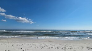 Une plage avec des empreintes de pas et un goéland, un ciel dégagé et des vagues.