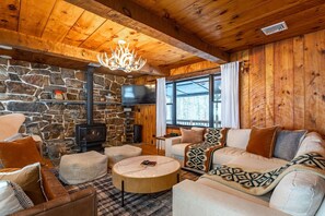 TV, fireplace, video games