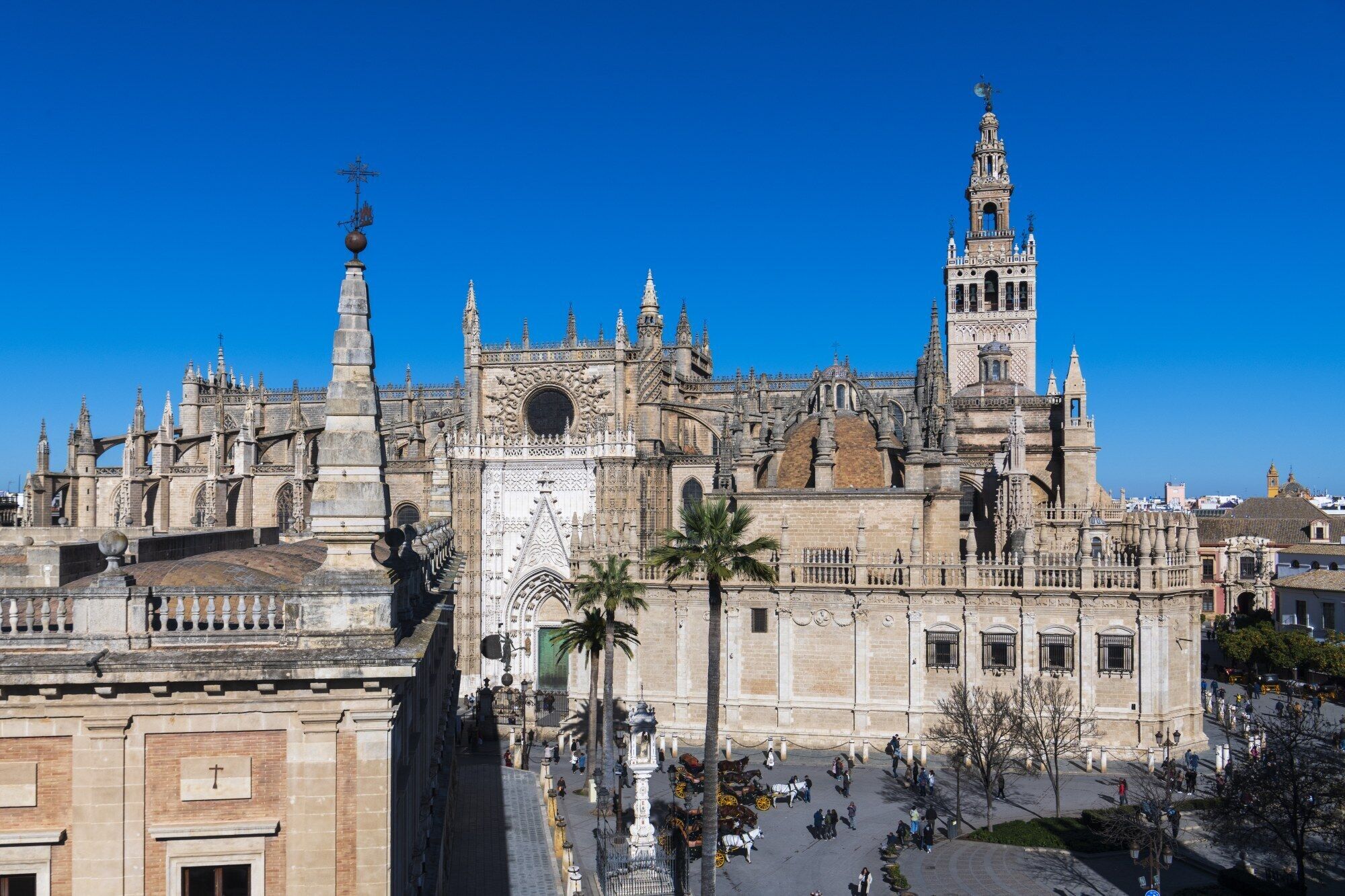 Una catedral histórica con arquitectura intrincada, una torre de campanas destacada y una plaza con palmeras.