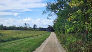 A gravel path leading to a modern building surrounded by lush greenery.