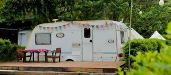 Inthanon Mountain Camp