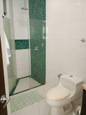 Hair dryer, towels, soap, toilet paper