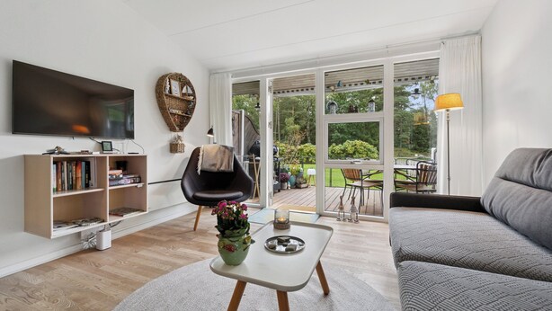 En stue med sofa, fjernsyn, bogreol, sofabord med vase, og udsigt til det fri.
