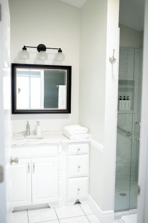Shower, hair dryer, bidet, towels