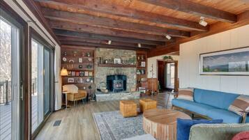 TV, fireplace, books, stereo
