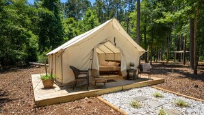 A tent with a bed, two chairs, a small table, and a potted plant.