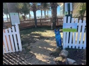 Terrain de l’hébergement 