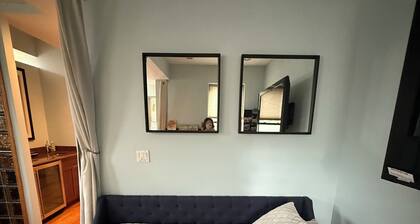 Stylish Chicago 1.5BR, 1 Bath + Sleeper Sofa Condo