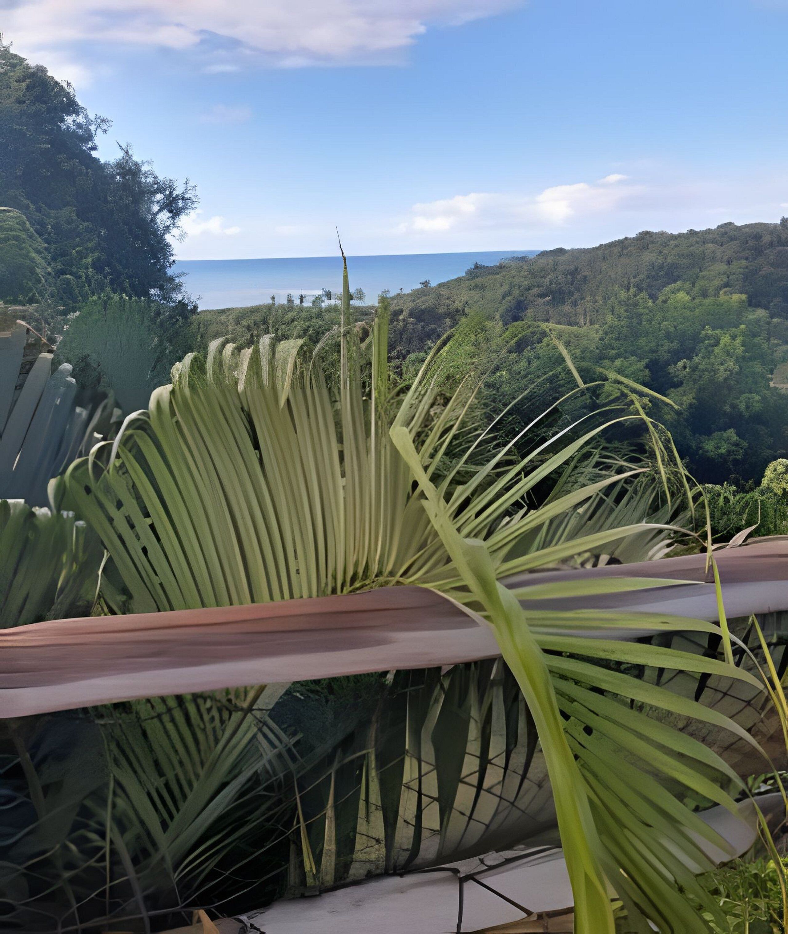 Una vista de un paisaje verde y exuberante con cielo despejado.
