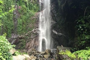 Une cascade entourée d’une végétation luxuriante.