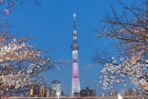 Miscellaneous - Asakusa Sennomori (Tokyo)
