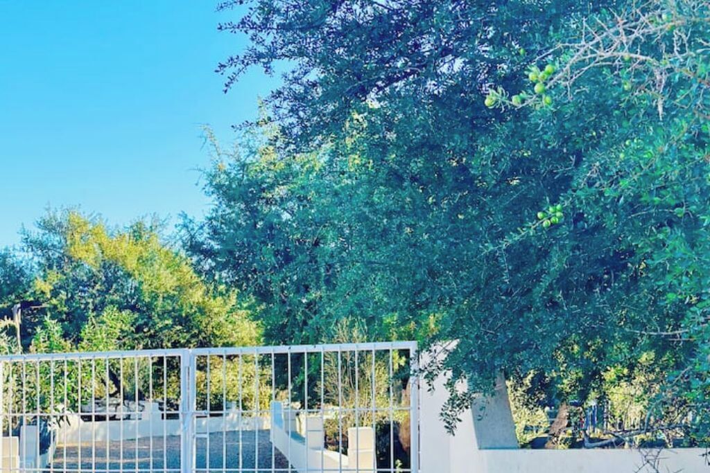 Área da propriedade