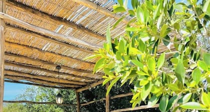 Relaxation Experience in Essaouira – Le Chalet ZEN