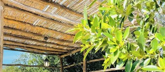 Relaxation Experience in Essaouira – Le Chalet ZEN