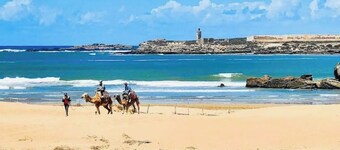 Moga Paradise 8 mins to the sea