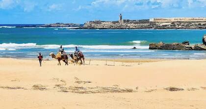 Moga Paradise 8 mins to the sea