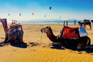Platja