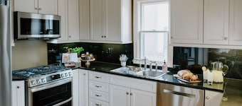 Family/Business-House, Lk Harriet, Pavilion Hot Tub, Games Room Arcade Game