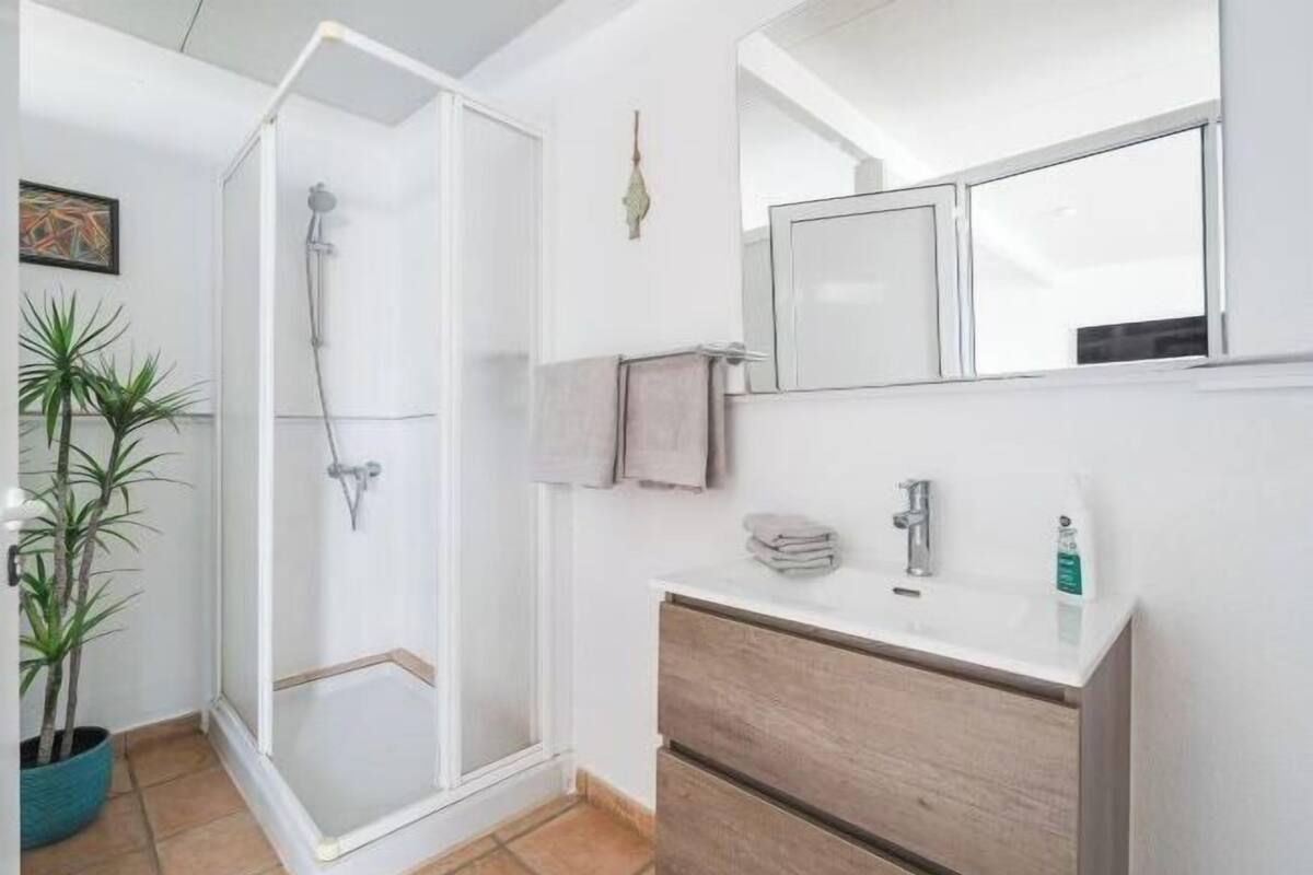 A bathroom with a shower, a sink, a mirror, and a potted plant.