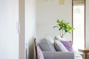 A room with a grey sofa, a potted plant, and a window with blinds.