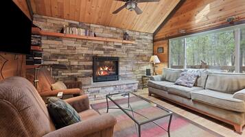 Smart TV, fireplace, DVD player, video library