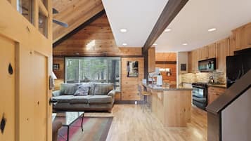 Smart TV, fireplace, DVD player, video library