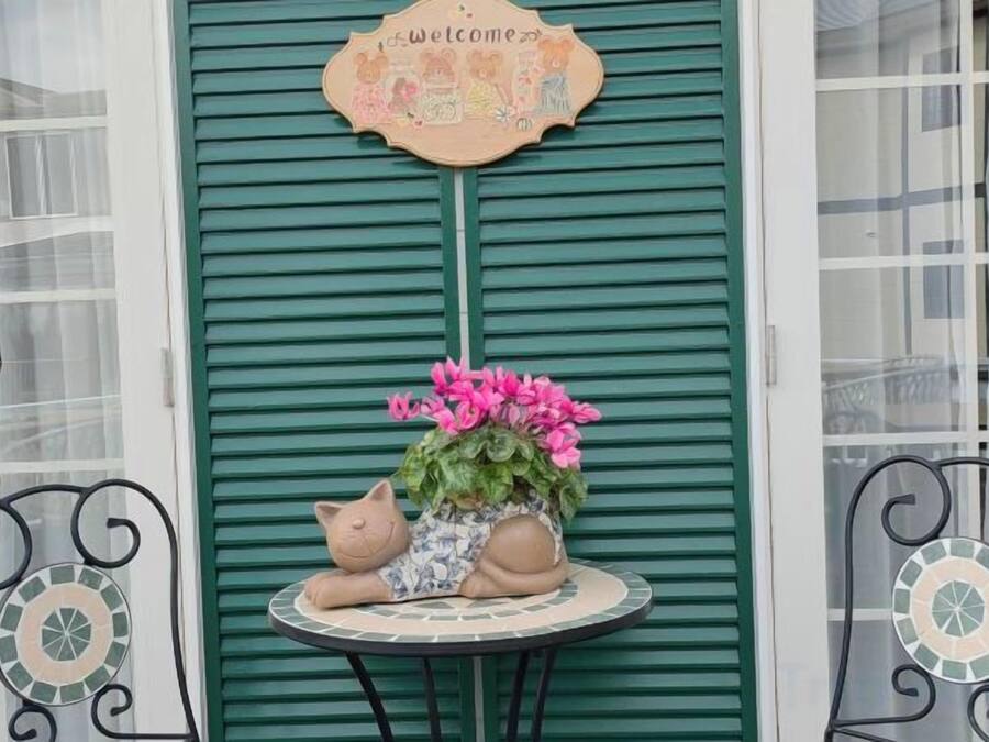 Una mesa con una planta en maceta y un osito de peluche, un letrero que dice 'Welcome' y una pared con contraventanas verdes.