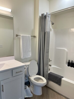 Séchoir à cheveux, serviettes fournies, savon, papier de toilette