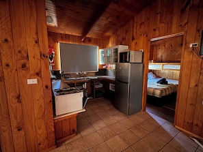 Stort kylskåp, mikrovågsugn och brödrost