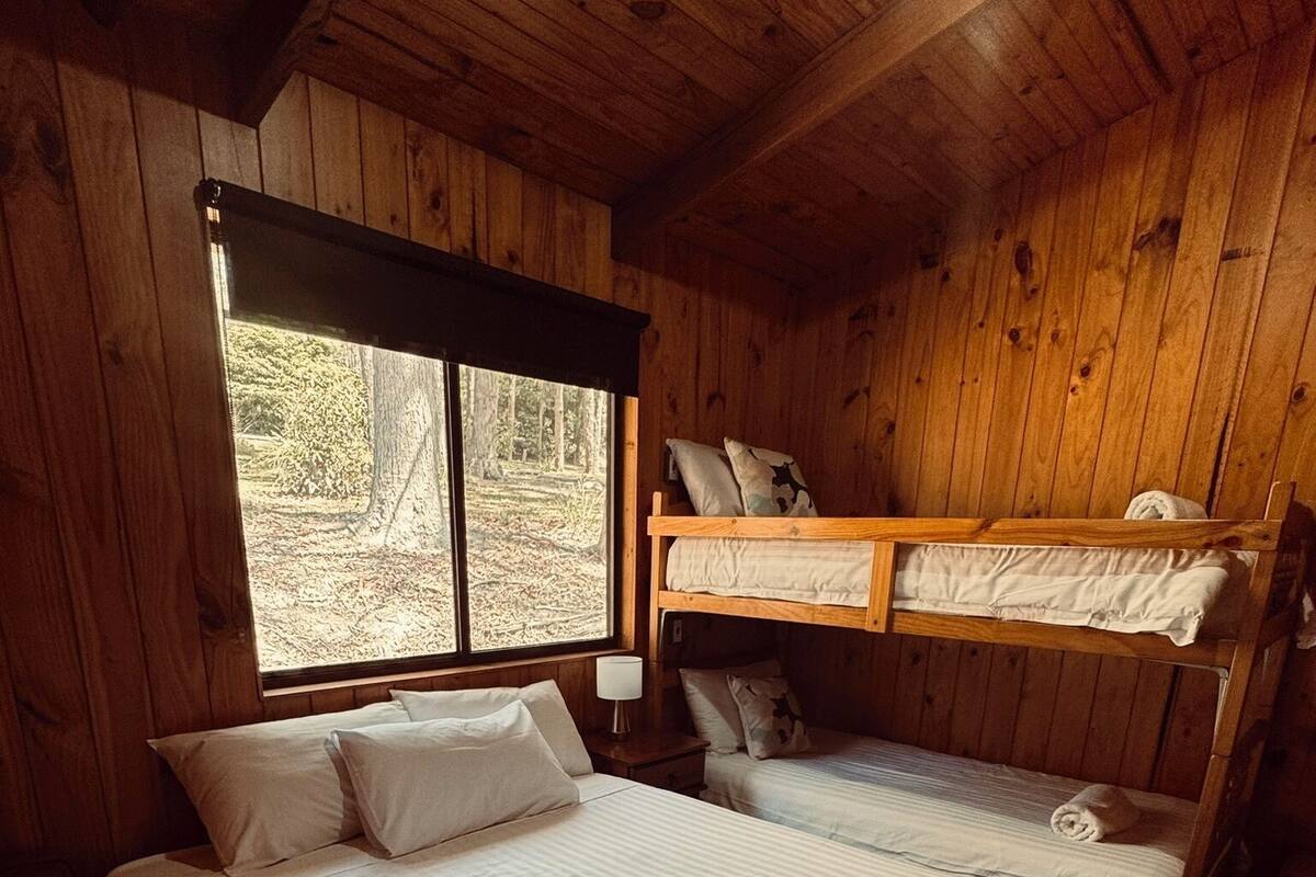 A wooden cabin bedroom with a large bed, a smaller bed on the upper bunk, and a window with a view of the forest.