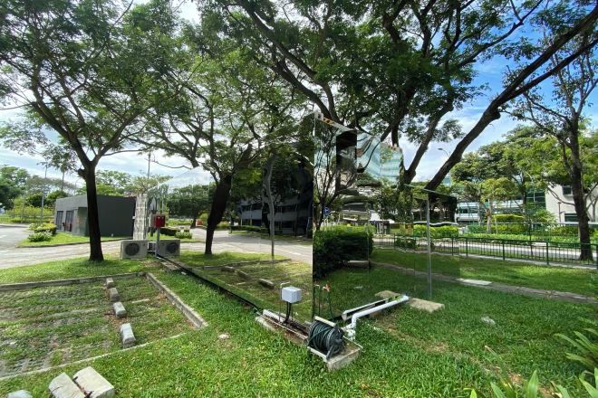 A park with trees, a paved walkway, and a small building.