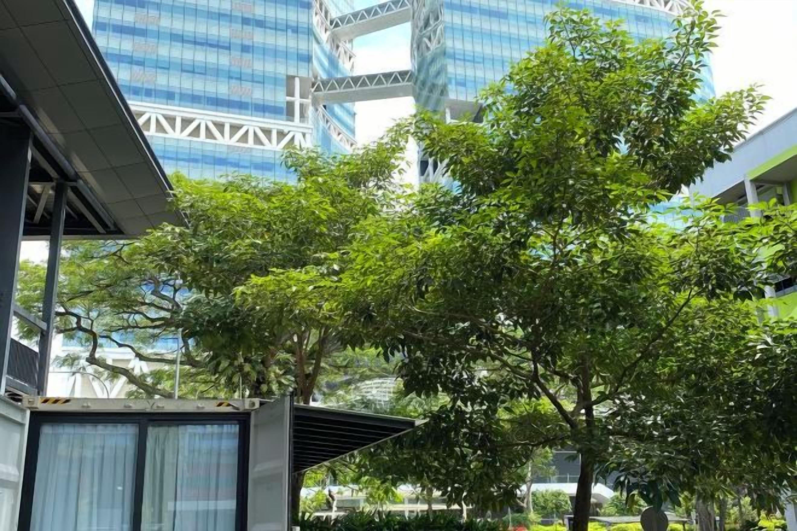 Un edificio moderno con fachadas de vidrio y un árbol en primer plano.