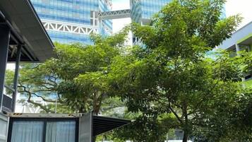 Un edificio moderno con fachadas de vidrio y un árbol en primer plano.