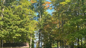 Une cour verdoyante avec des arbres et un bâtiment en arrière-plan.